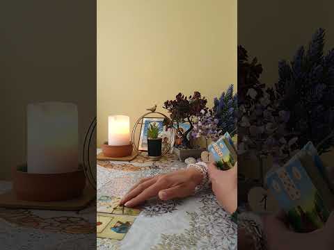 Видео: Казуси