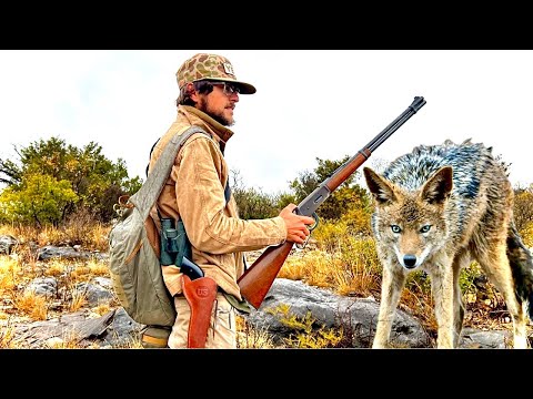 Видео: Жизнь за счет земли