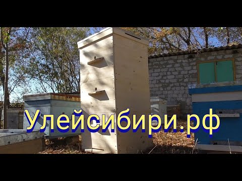 Видео: УЛЕЙСИБИРИ. Деревянные улья для пчел.