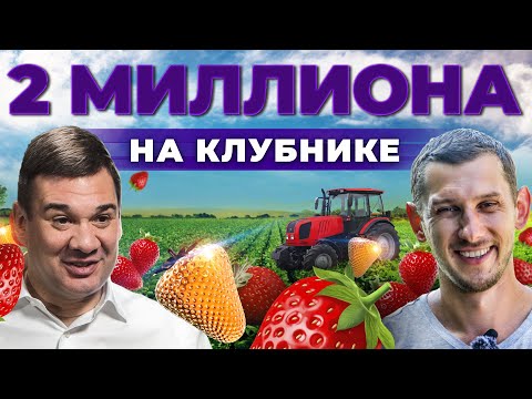 Видео: Сколько приносит ягода? Клубника, малина, смородина | Ягодный бизнес и риски | Андрей Даниленко