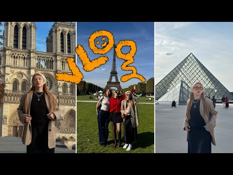 Видео: последний влог из Парижа: увидели Лувр и пережили нападки французского сумасшедшего 