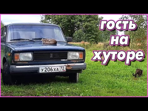 Видео: Подписчик из Тюмени приехал!