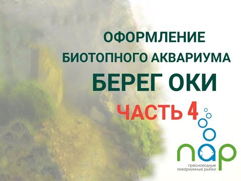Видео: Оформление биотопного аквариума- Берег Оки