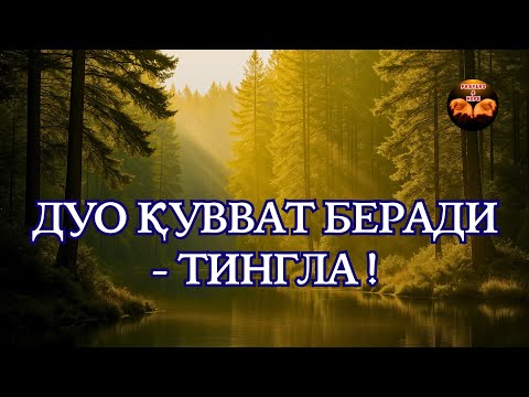 Видео: Ал-Бақара 255, 285–286💥 Ҳимоя, умид ва тинчлик - Powerful Dua🔑 (табиатда)🧝🏻‍♂️