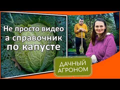 Видео: ТАК ВОТ В ЧЕМ ИХ СЕКРЕТ! Этого о капусте вы не знали КАК ПОСАДИТЬ ЛЮБУЮ КАПУСТУ