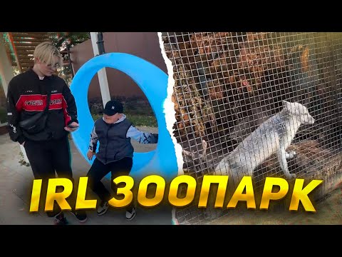 Видео: ДРЕЙК и СТИНТ в МОСКОВСКОМ ЗООПАРКЕ // ДРЕЙК ИРЛ МОСКВА