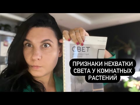 Видео: Главные признаки нехватки света у комнатных растений