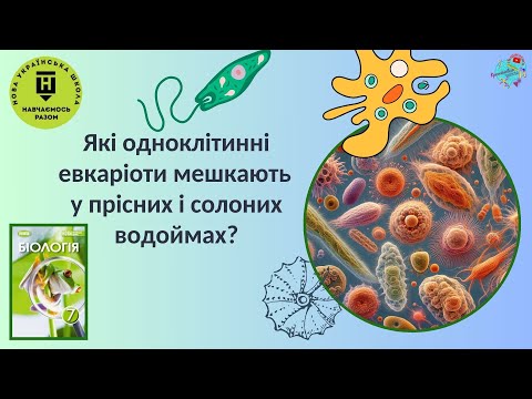 Видео: Які одноклітинні евкаріоти мешкають у прісних та солоних водоймах