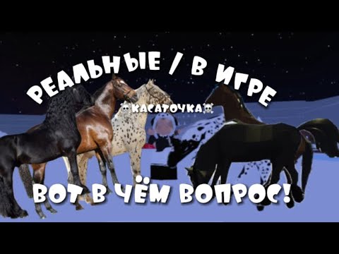 Видео: Лошади horse valley в реальной жизни!!!☠️ | horse valley | конная долина | лошади