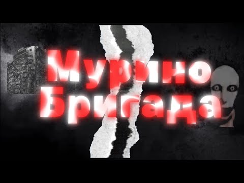 Видео: МЕМ МУРИНО БРИГАДА