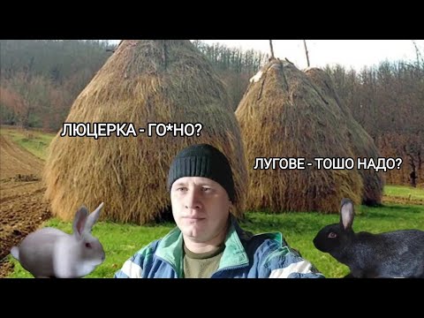 Видео: ЕКОНОМІЯ ТА ПЕРЕВОДНЯК СІНА. ЛЮЦЕРНА ЧИ ЛУГОВЕ | ПЛЮСИ ПК ТА МІНУСИ СІННИКІВ