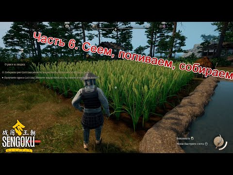 Видео: Sengoku Dynasty (Часть 6) Сеем, поливаем, собираем.