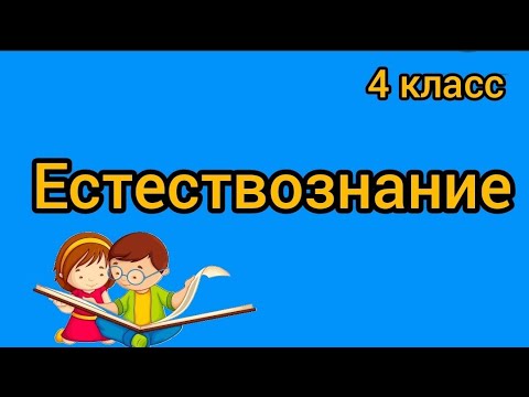 Видео: Почему мы видим предметы? Естествознание. 4 класс