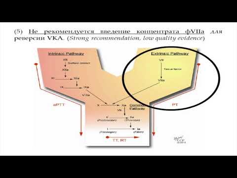 Видео: Реверсии  гипокоагуляции, при интракраниальном кровоизлияни Баранич А
