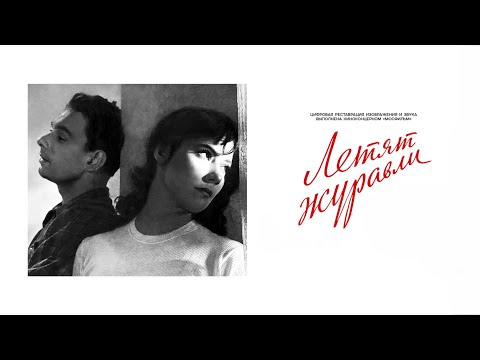 Видео: «Летят журавли» / разговор с Евгением Жариновым