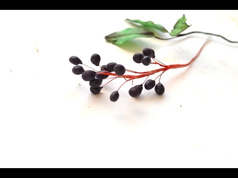 Видео: Бузина