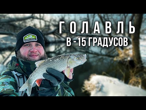 Видео: ГОЛАВЛЬ НА СПИННИНГ В -15 ГРАДУСОВ