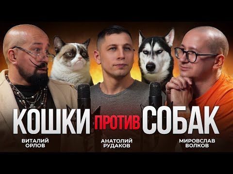 Видео: КОШКИ vs СОБАКИ. Сложный разговор о важном, и конфликт на площадке