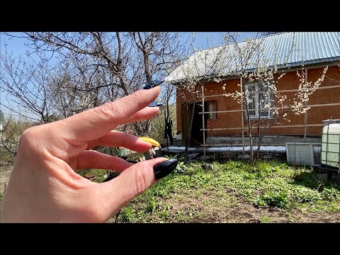 Видео: АСМР |Дача |Голос |Постукивания |Царапанье |ASMR |Summer cottage |Tapping |Scratching |Soft Spoken