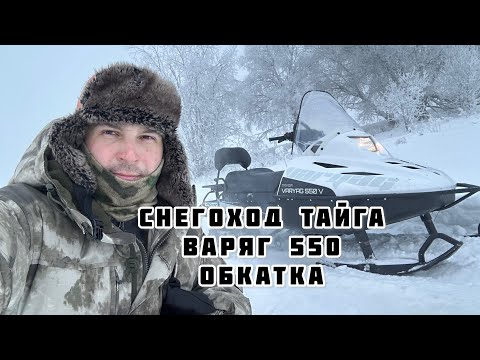 Видео: Снегоход Тайга Варяг 550 Обкатка