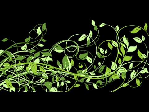 Видео: "Путь к успеху" - МБОУ "СОШ №126" г. Барнаул