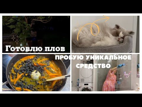 Видео: Как приготовить плов и не дать коту уснуть!