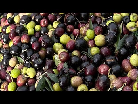 Видео: 3 ноября 2025 г.