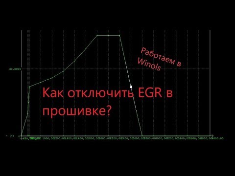 Видео: Отключаем EGR // EDC16U31 Volkswagen T5 // Работаем в Winols