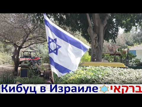 Видео: Кибуц Баркай | Неоднозначное впечатление!