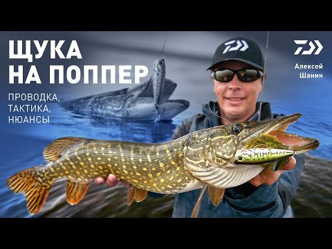 Видео: ЩУКА НА ПОППЕР / ПРОВОДКА x ТАКТИКА x НЮАНСЫ / АЛЕКСЕЙ ШАНИН