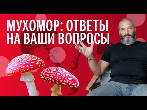 Видео: Ответы на вопросы: Мухомор. От Токсикологии до Властелина Колец. Михаил Вишневский