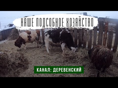 Видео: Наше деревенское хозяйство. Как заработать на хозяйстве.
