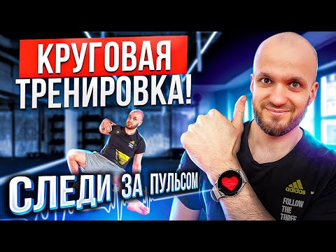 Видео: Круговая тренировка на все тело | функциональная тренировка