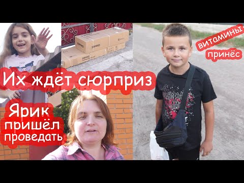 Видео: VLOG Курьер привёз огромную посылку. У Алисы классные друзья