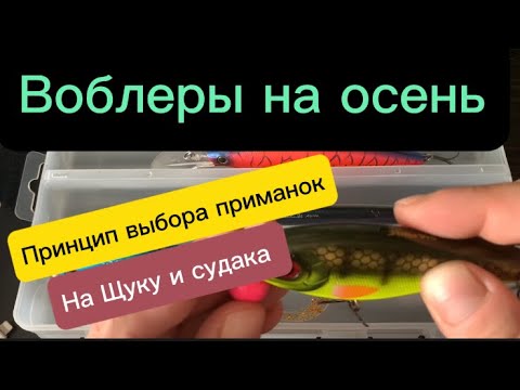 Видео: Воблеры на Осень! Твичинг. Троллинг. Вибы в отвес. Джерки.