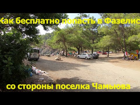 Видео: Фазелис бесплатно со стороны поселка Чамьюва-тропа Вам в помощь(по просьбам подписчиков)-Часть 1