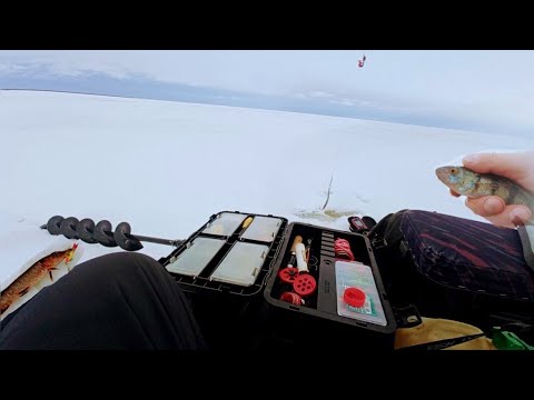 Видео: Креницы.Ладога. Рыбалка в середине февраля. В поисках полосатого разбоиника.