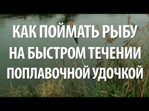 Видео: РЫБАЛКА на ПОПЛАВОК в ПРОВОДКУ на БЫСТРОМ ТЕЧЕНИИ