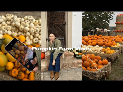 Видео: Идеальный осенний день: тыквы, ферма и домашняя выпечка