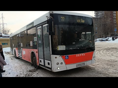Видео: Пермь | Автобусный маршрут 77 | Ул.Мильчакова - Ул.Памирская | Автобус МАЗ 203.016 |Снято 02.01.2024