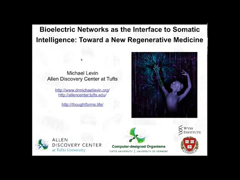Видео: «Биоэлектрические сети как интерфейс к соматическому интеллекту: к новой регенеративной медицине»