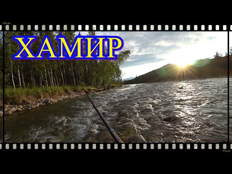 Видео: Хамир 2021 \ Рыбалка на Хариуса в верховьях горной реки