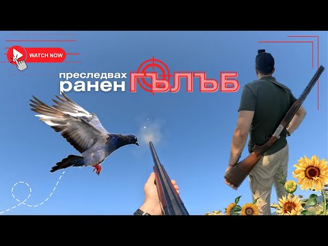 Видео: СМЕСЕН ЛОВ на Пъдпъдък и Гривяк ! ПЕРНАТ СВЯТ  ЕП.2 [СЕЗОН 2023]