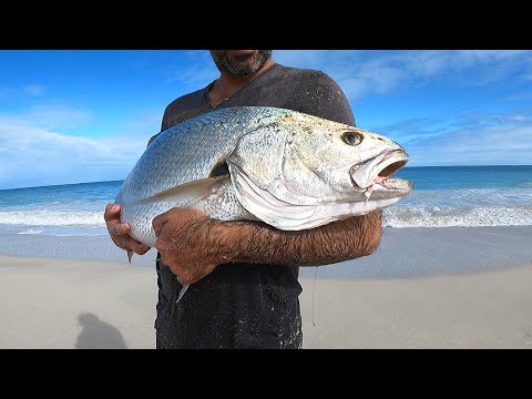 Видео: Рыбалка на пляже Маллоуэй, Перт, Западная Австралия