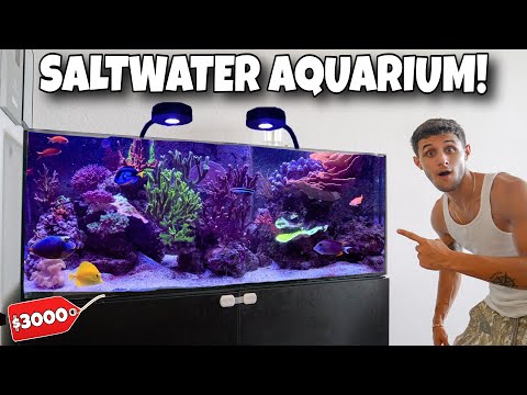 Видео: Мой НОВЫЙ СОЛЕНЫЙ АКВАРИУМ!!