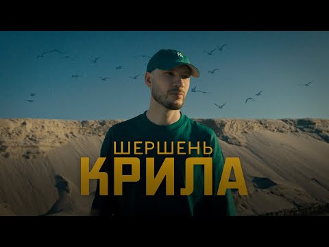 Видео: Шершень - Крила