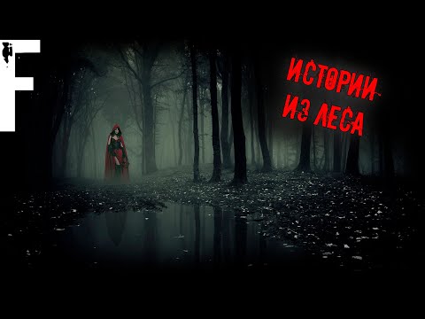 Видео: ИСТОРИИ ИЗ ЛЕСА! Страшные Истории На Ночь!