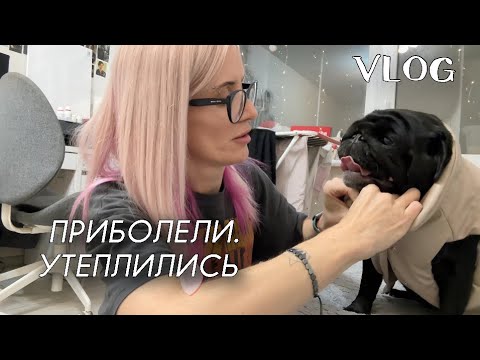 Видео: Приболели и утеплились.