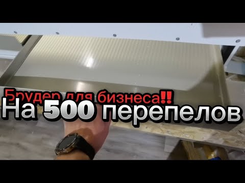 Видео: Брудер на 500 перепелов, для тех кто хочет заработать на перепелах. 👍👍👍👍