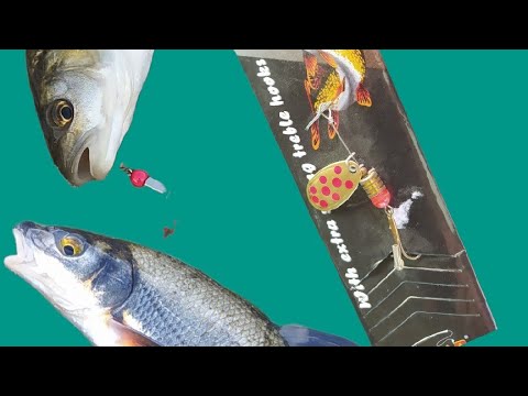 Видео: как да хванем кефали с блесни?